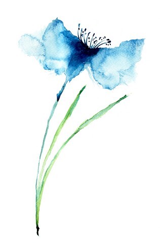 Blue Colored Cornflowers, beautiful watercolor illustration